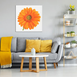 Póster Naranja Gerbera Daisy flor sobre Poster fotográfic
