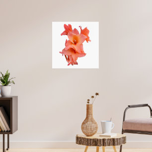 Póster Naranja Gladiolus Floral