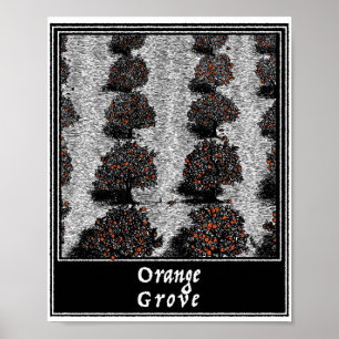 Póster Naranja Grove