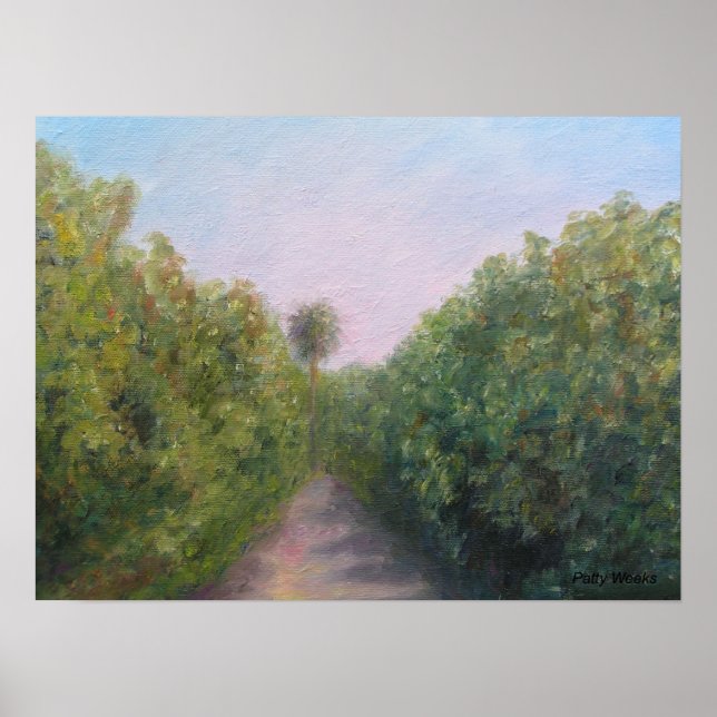 PÓSTER NARANJA GROVE EN CITRA, FLORIDA (Frente)