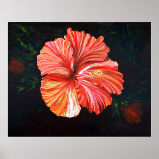 Póster Naranja Hibiscus