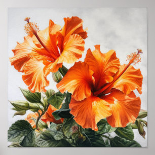 Póster Naranja Hibiscus Flower Art Print Poster