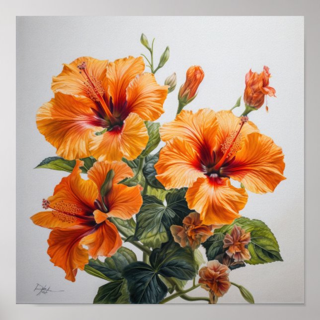 Póster Naranja Hibiscus Flower Art Print Poster (Frente)