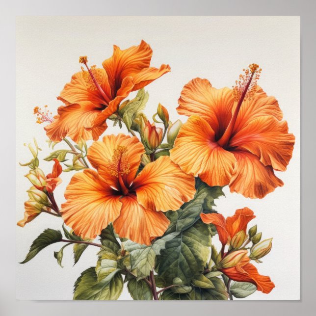 Póster Naranja Hibiscus Flower Art Print Poster (Frente)