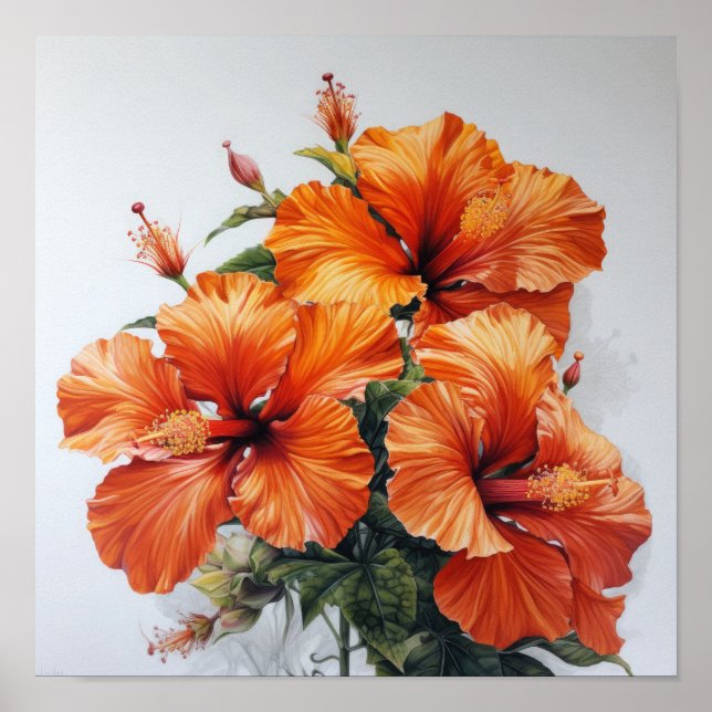 Póster Naranja Hibiscus Flower Art Print Poster (Frente)