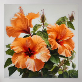 Póster Naranja Hibiscus Flower Art Print Poster