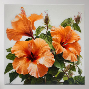 Póster Naranja Hibiscus Flower Art Print Poster