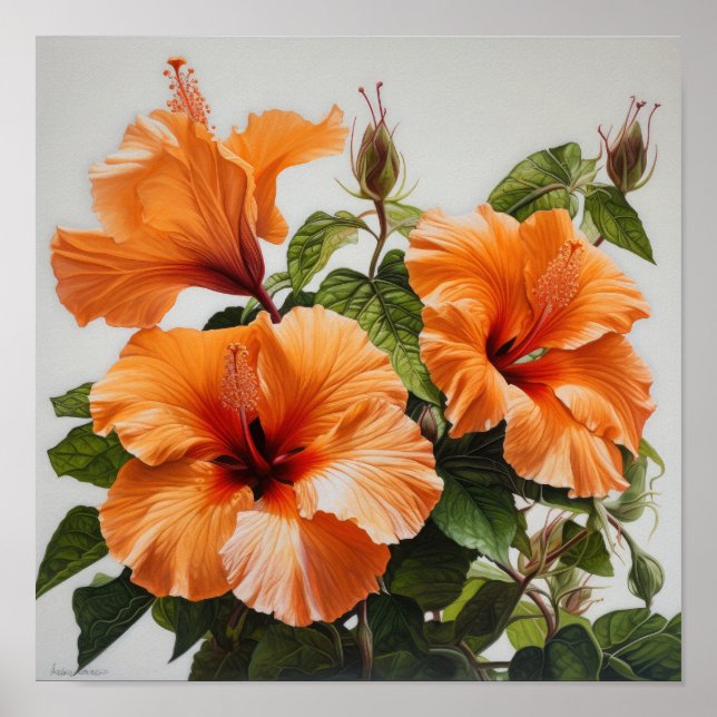 Póster Naranja Hibiscus Flower Art Print Poster (Frente)