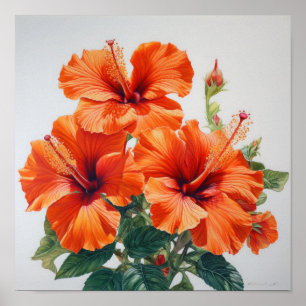 Póster Naranja Hibiscus Flower Art Print Poster