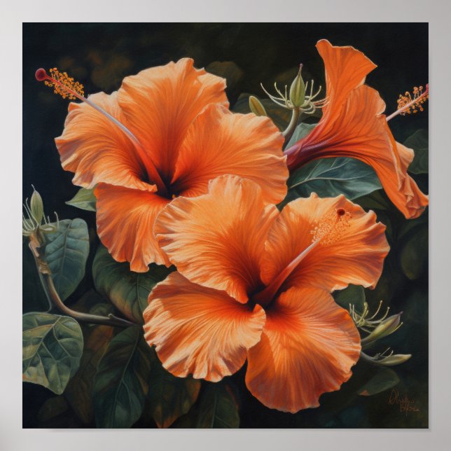 Póster Naranja Hibiscus Flower Art Print Poster (Frente)