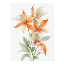 Naranja Lily Flowers