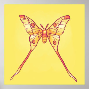 Póster Naranja Luna Moth Art - Insectos coloridos