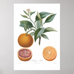 Póster Naranja, Orange de Malte
