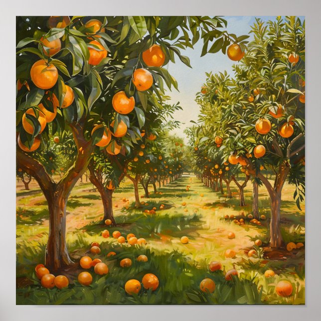 Póster Naranja Orchard (Frente)