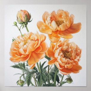Póster Naranja Peonies Flower Art Print Poster