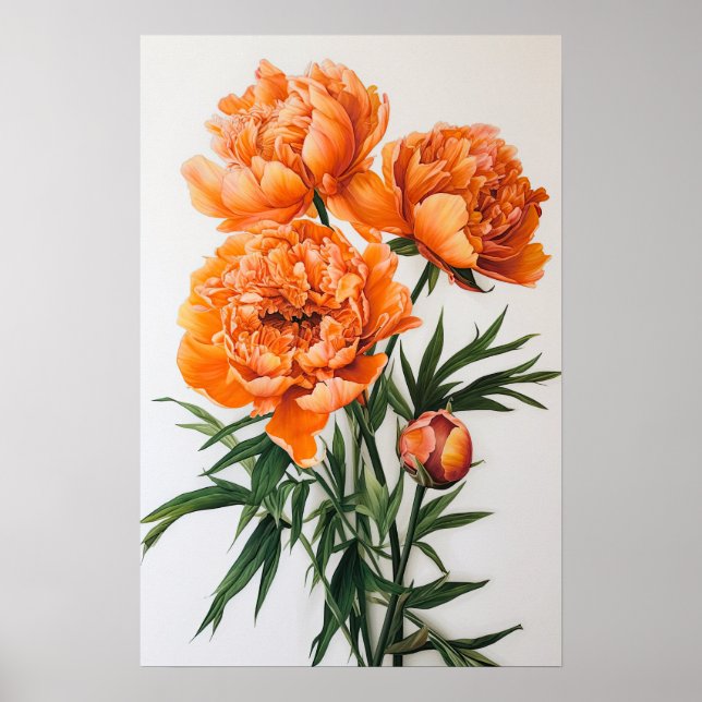 Póster Naranja Peonies Flower Art Print Poster (Frente)