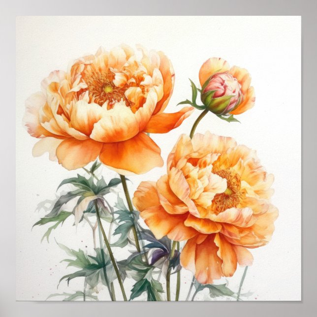 Póster Naranja Peonies Flower Art Print Poster (Frente)