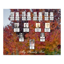 Naranja, rojo, hoja púrpura Poster de árbol famili