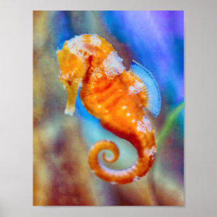 Póster Naranja Seahorse deleite