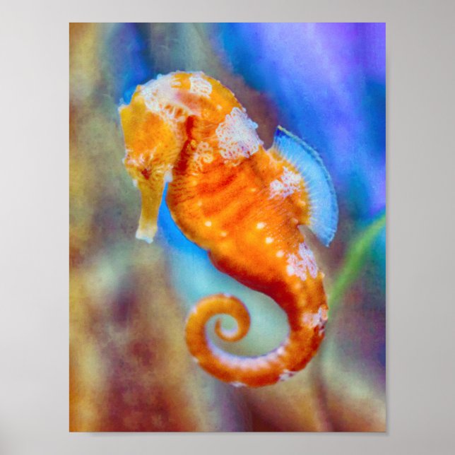 Póster Naranja Seahorse deleite (Frente)