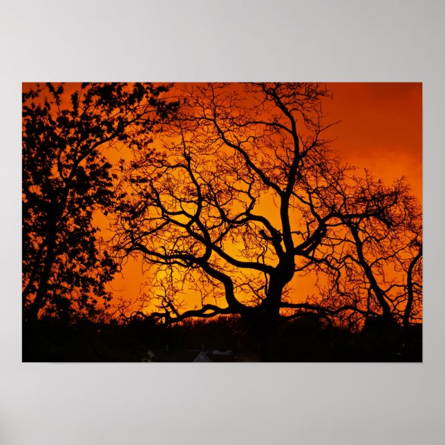 Póster Naranja Sunset (Frente)