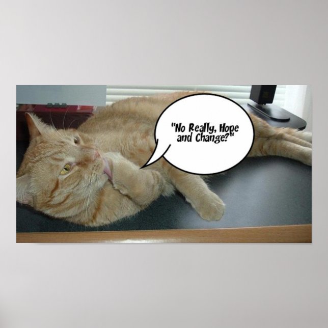 Póster Naranja Tabby Cat Esperanza y cambio (Frente)