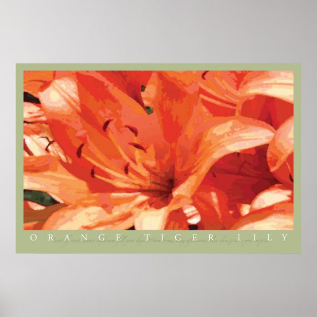 Póster Naranja Tiger Lily Print (Frente)