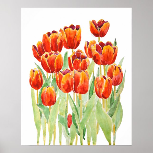 Póster naranja tulipanes flor acuarela (Frente)