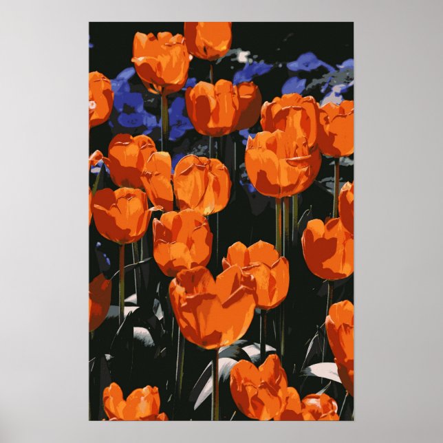Póster Naranja Tulips Poster (Frente)