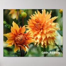 Naranja y amarillo Dahlia Garden Flores RHS Wisley