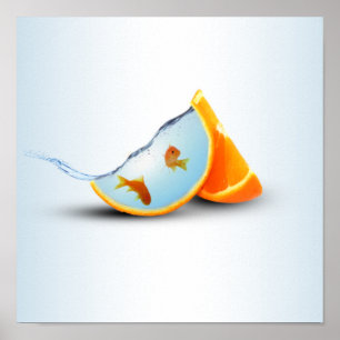 Póster Naranja y peces rojos