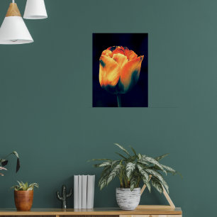 Póster Naranja y tulipano verde
