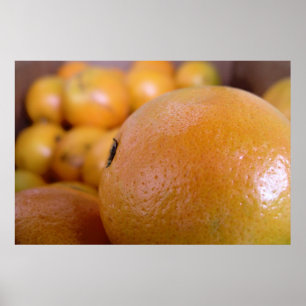Póster Naranjas 2