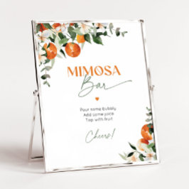 Póster Naranjas de cítricos de presión principal Poster d