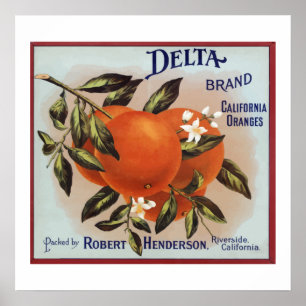 Póster Naranjas de marca Delta Etiquetas de fruta
