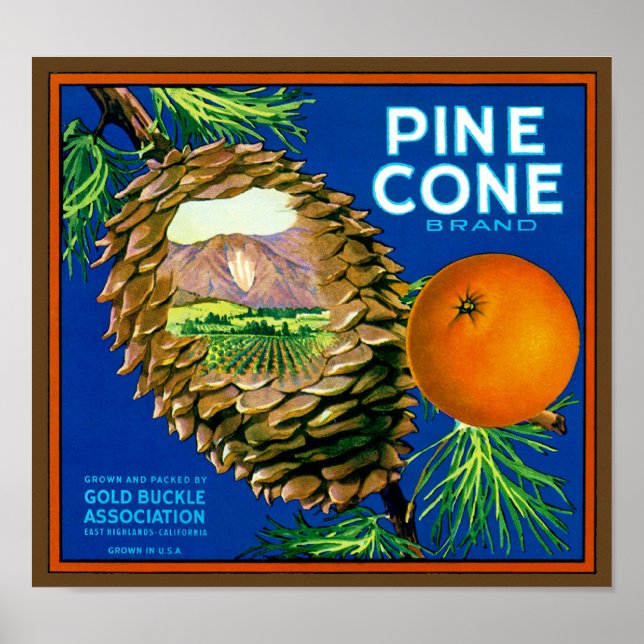 Póster Naranjas de Pine Cone (Frente)