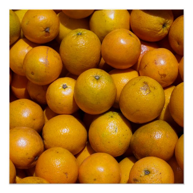 Póster Naranjas naranja del mercado de fruta de Florida (Anverso)