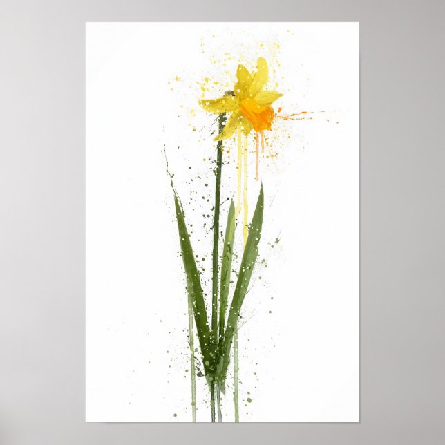Póster Narciso (Frente)