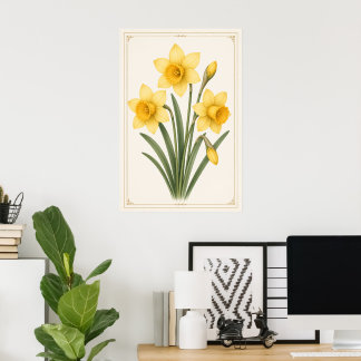 Póster Narciso Botánico, Flor del Mes de Nacimiento de Ma
