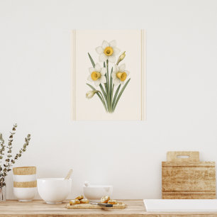 Póster Narciso, flor de nacimiento de diciembre, obra de