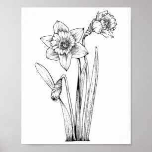 Póster Narciso Narcisos Flores Floral Primavera Pascua