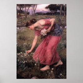 Póster Narcissus by John William Waterhouse - 1912