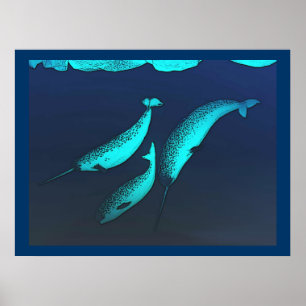 Póster Narwhal