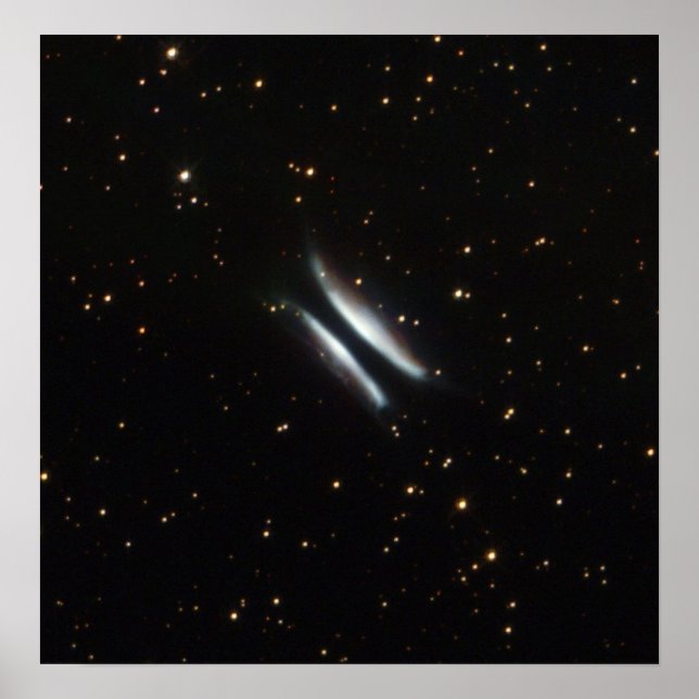 Póster NASA - Gomez's Hamburger (Frente)