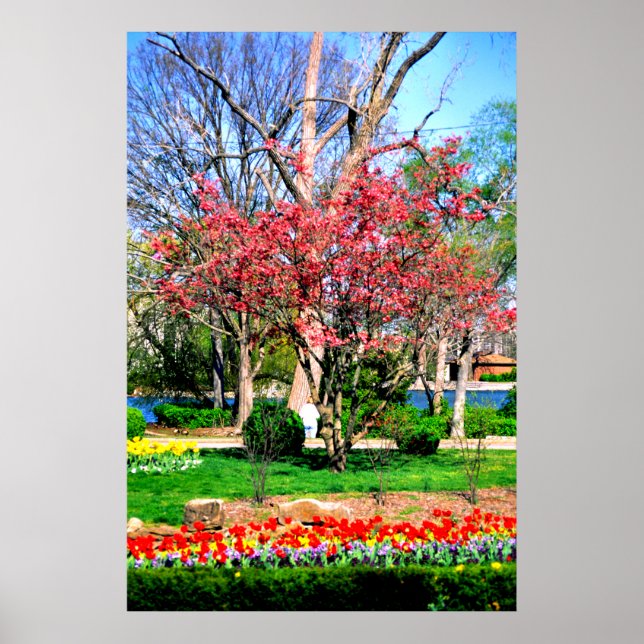 Póster Nashville spring (Frente)