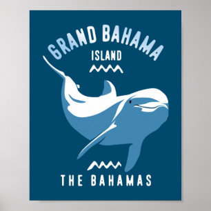 Póster Natación con delfines Gran Bahama