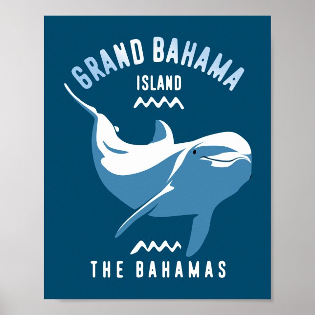 Póster Natación con delfines Gran Bahama (Frente)