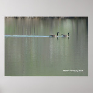 Póster Natación de amor