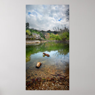 Póster Natación de perro en Barton Creek - Austin Texas