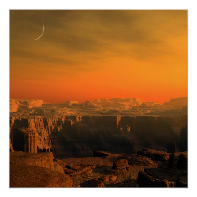 PÓSTER NATUR (Anverso)
